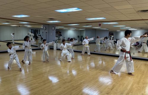 Seizan Karate Dojo 4