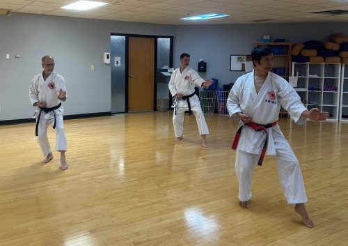Seizan Karate Dojo   6