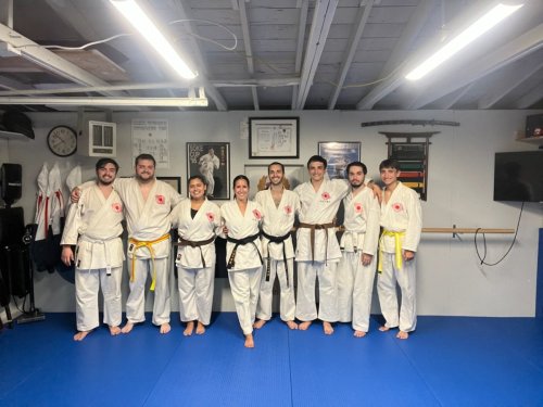 Group USA-ICKF Home Dojo Group